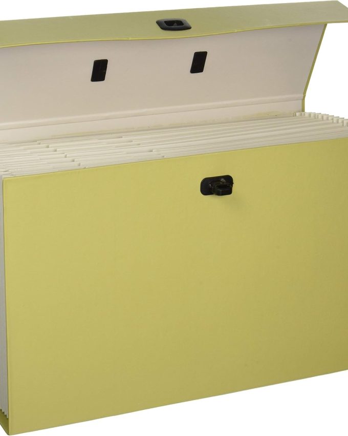 Portable Expanding File Box, 19 Pockets, Blank Tabs, Printed Labels, Latch Closure, Legal Size, Blue